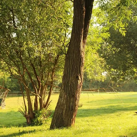 Appartamento Gutshof Dubnitz - 1 